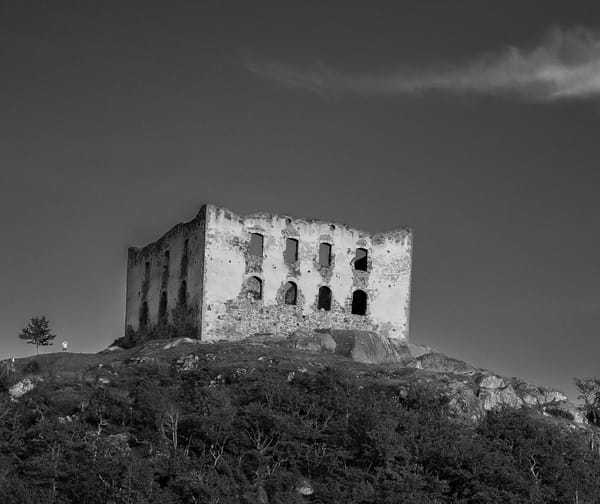 Image: Damir K at Pexels